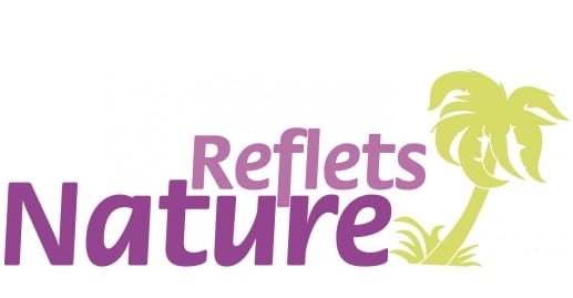 Reflets Nature : des plantes artificielles plus vraies que nature !