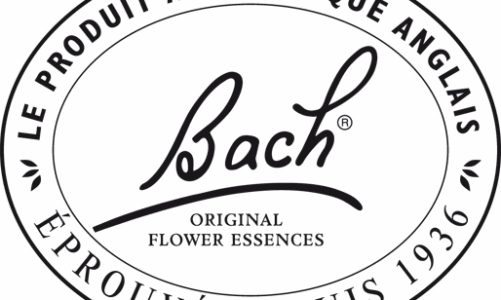 Fleurs de Bach : ces élixirs qui jouent avec nos émotions