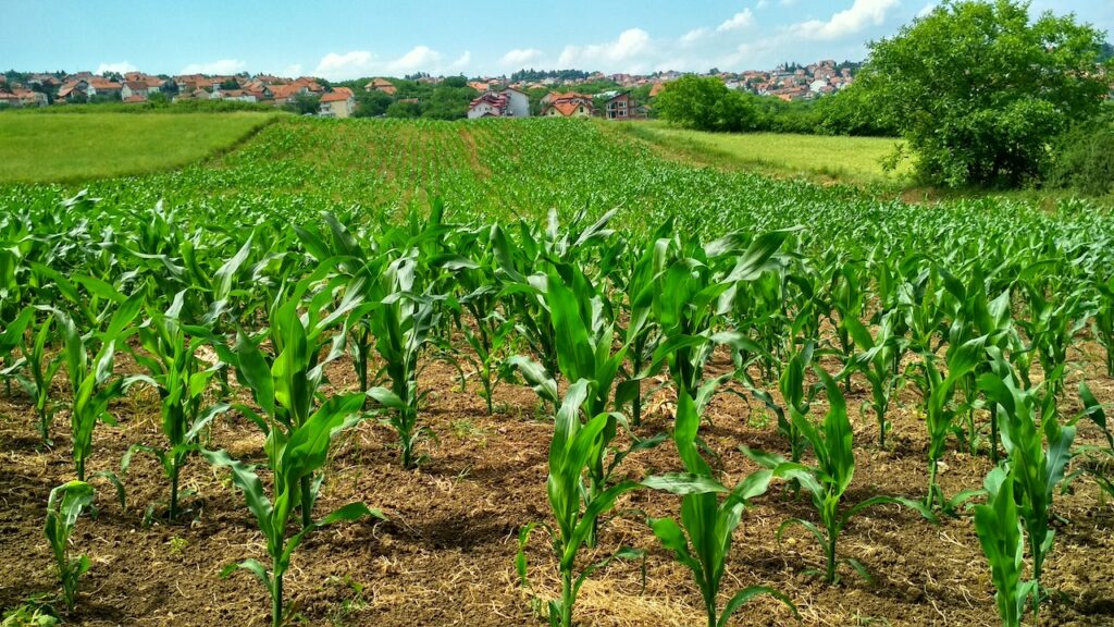 Life scientific : le spécialiste des produits agricoles pour la protection des cultures