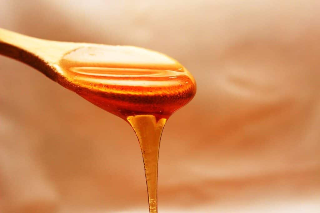 Tout savoir sur la composition du miel de Manuka