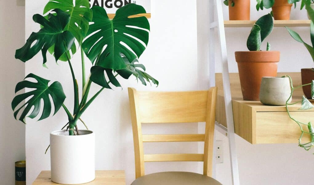 décoration intérieur recyclée