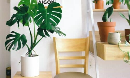 Décorer son intérieur avec des matériaux recyclés : une tendance éthique